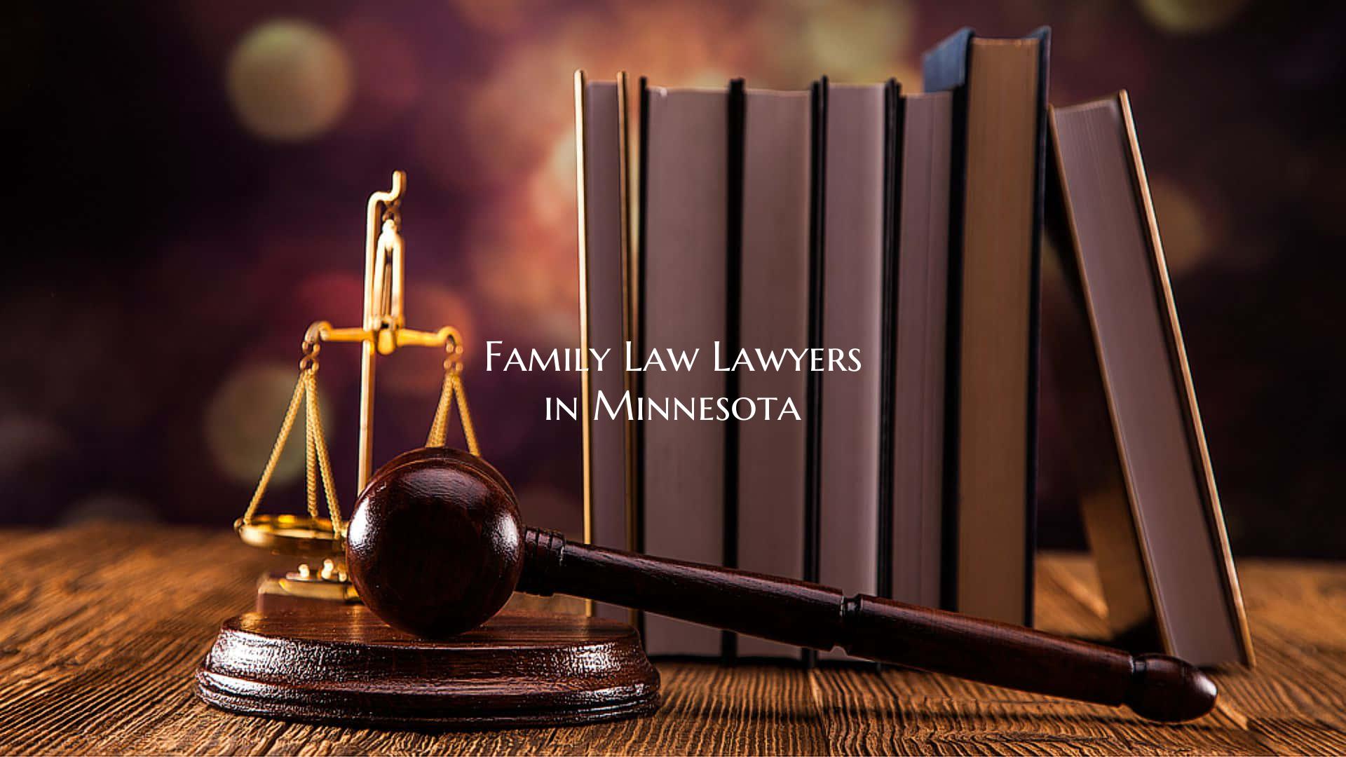 Family Law Lawyers in Minnesota